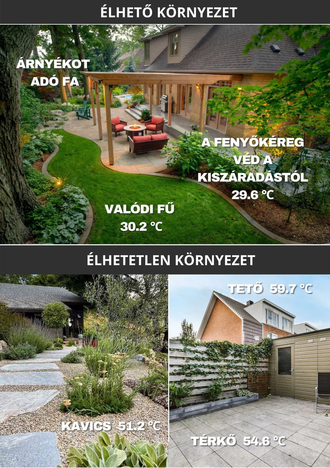 Miért érdemes fenyőkérget és fenyőmulcsot használni a kertben?
