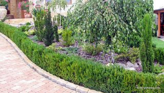 Rindenmulch