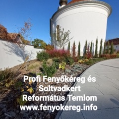 Fenyőkéreg