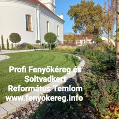 Fenyőkéreg