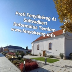 Fenyőkéreg