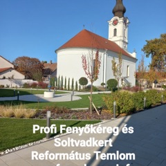 Fenyőkéreg