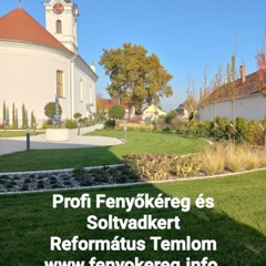 Fenyőkéreg